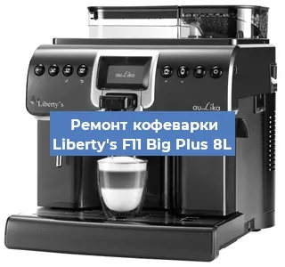 Чистка кофемашины Liberty's F11 Big Plus 8L от накипи в Красноярске